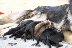 69FFDBDD-7F8E-48D5-86F3-7312121BC23C