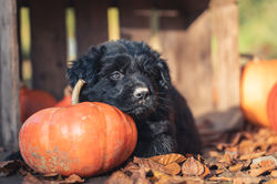 44C4A12F-F433-42FD-BE89-DF09AB858132