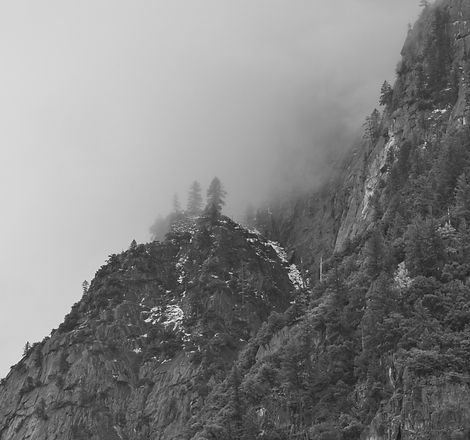 Foggy Yosemite.jpg