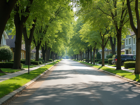 Exploring Sheel Kunj in Meerut Modipuram: A New Extension with Theme-Based Parks and Clean Roads