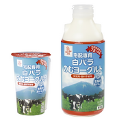 白バラ飲むヨーグルト