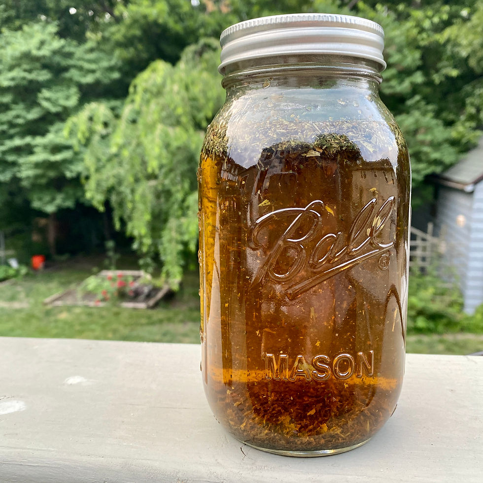 A jar of pregnancy tea, steeping outside in the sun.