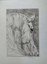 Don't Go 13x16 framed charcoal $230.00