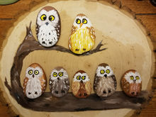 Owl rock family