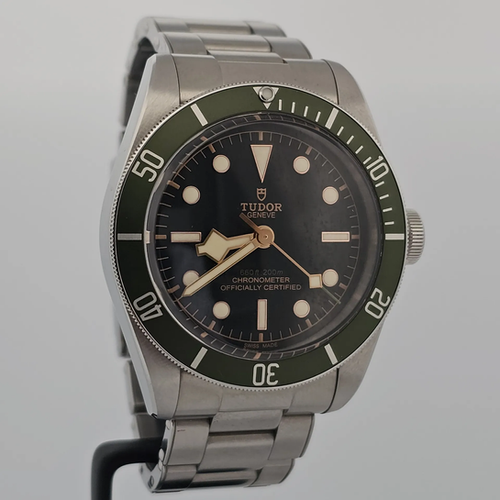 Tudor Black Bay Green Bezel 79230G