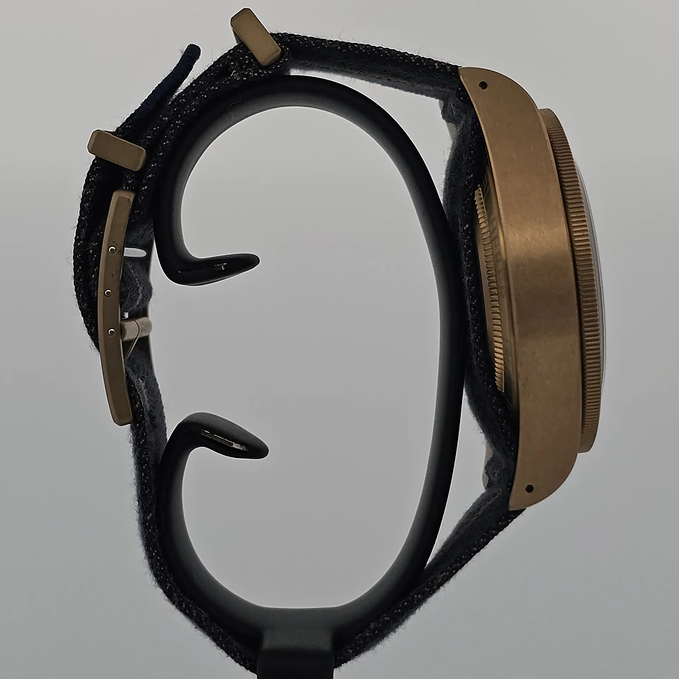 縮圖：Tudor Black Bay Bronze 79250BB