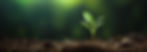 KW-green-eco1A-banner.jpg