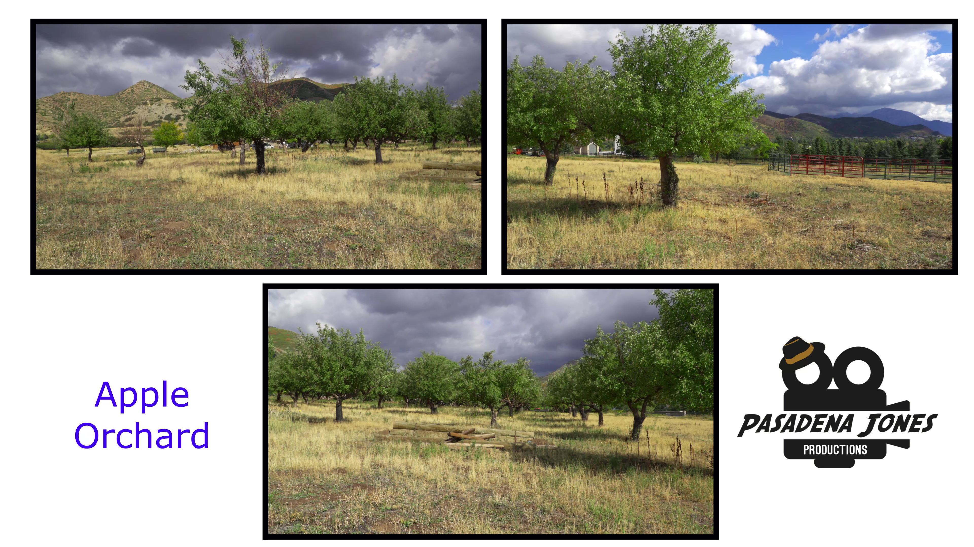 Mountain Apple Archard