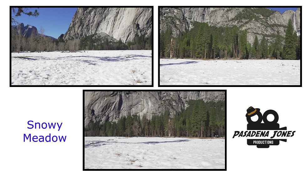 Yosemite - Snowy Meadow