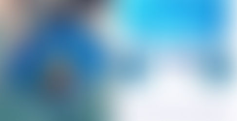 Đánh giá chất lượng vợt vớt rác bể bơi Emaux