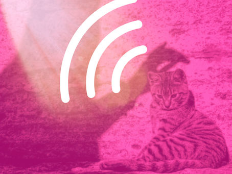 Une des premières choses à savoir: le mode de communication