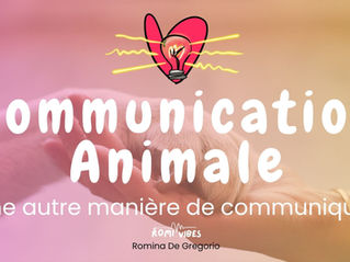Venez découvrir ce qu'est la com animale!