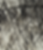 11 A SEEING .png