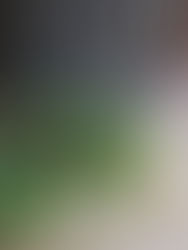 Vegan Caesar Salad Flatbread