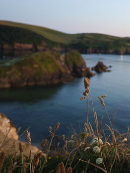 Hope Cove Devon