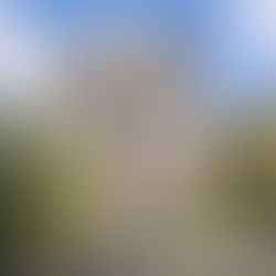 Autumn in Paris, plus Vegan Food