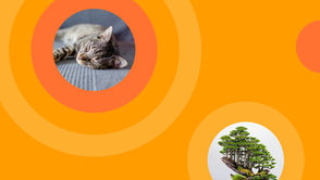 July's Monthly Dose of Goodness