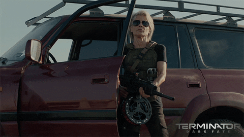 termin 1.gif