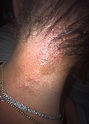 IMG_4426.jpeg