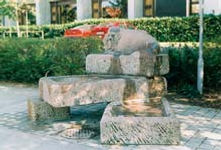 saum_6.jpg