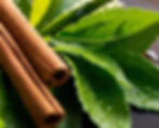 cinnamon green tea