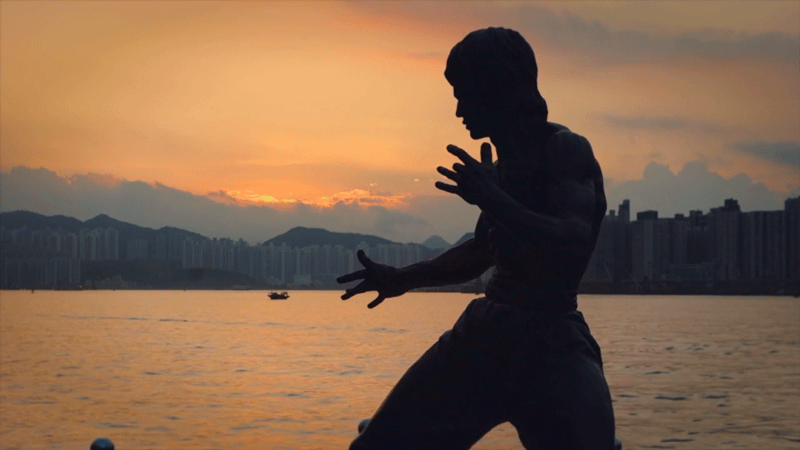 Bruce Lee
