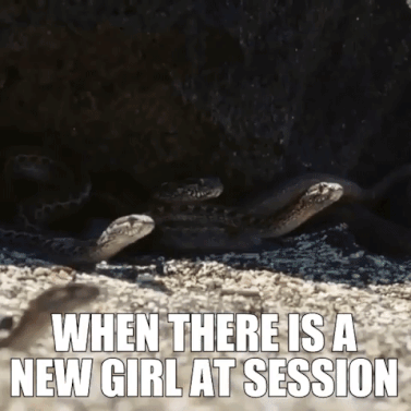 When there is a new girl at session