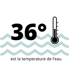 36° (1).png