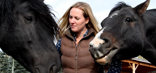 Calgary Herald Whispering Equine Article.webp