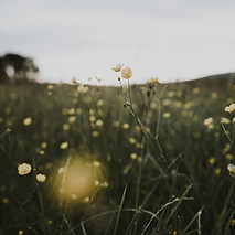 annie-spratt-gwSPvpXnNiU-unsplash.jpg