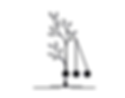 Logo Only Black.png