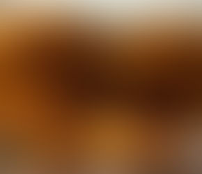 Bagel Bakery Cafe: A Bagel Breakfast Done Right