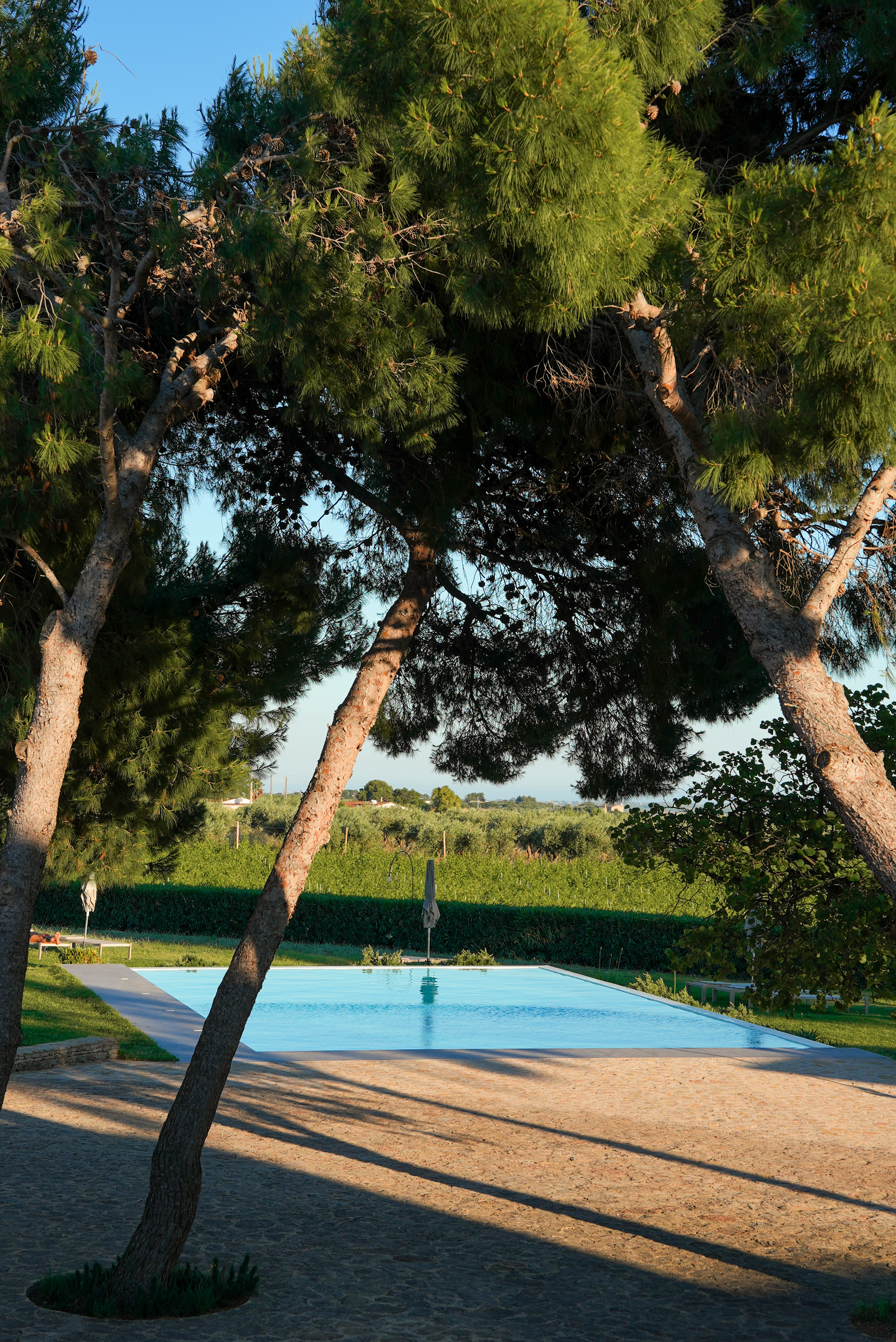 Stayditorial Photo 32