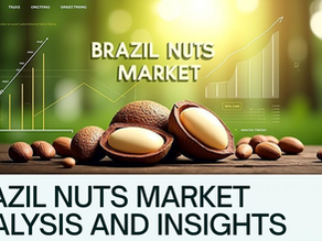 Brazil Nuts Market Size, Share, Growth, Trends, Report 2025-2033
