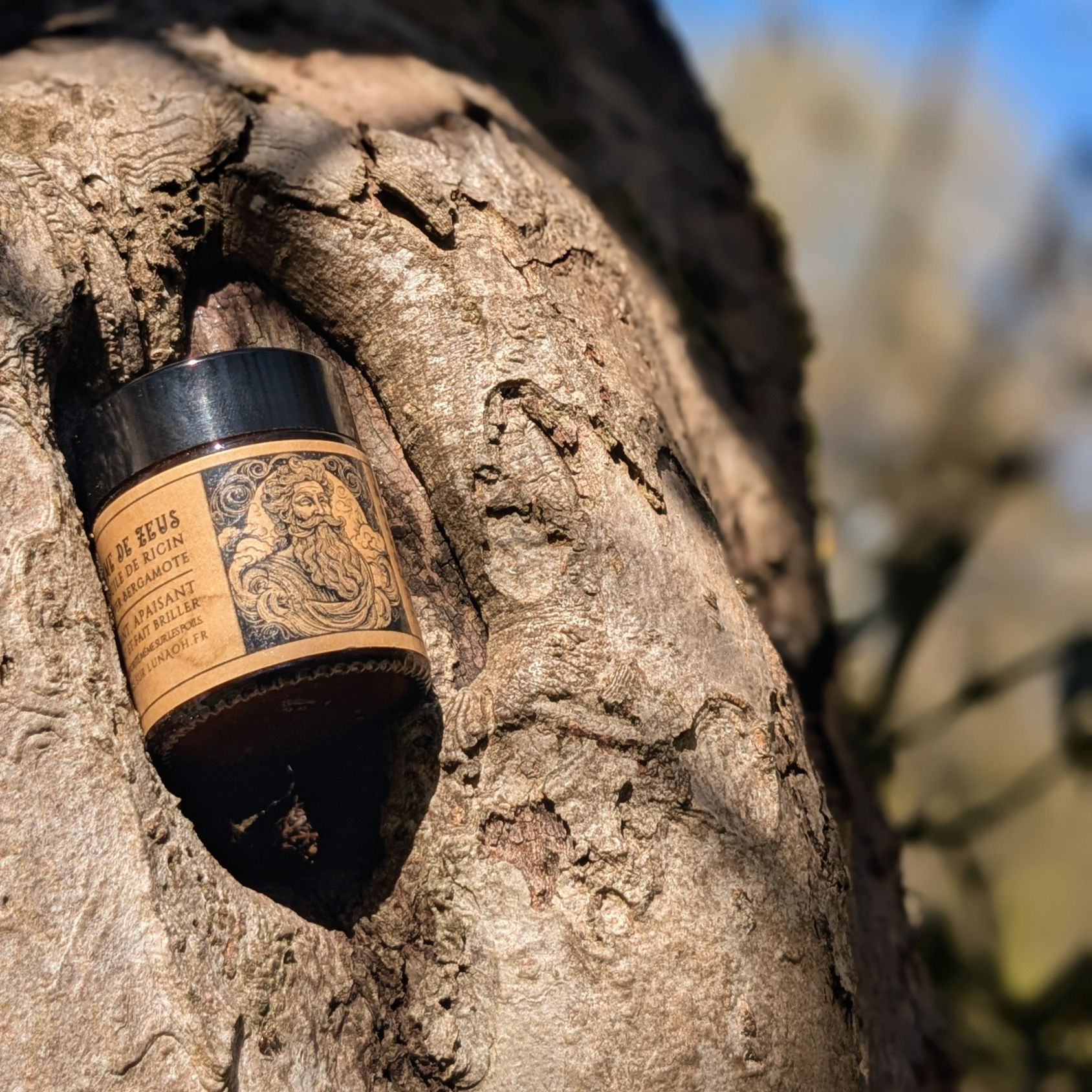 Le Baume de Zeus | Cèdre & Cyprès