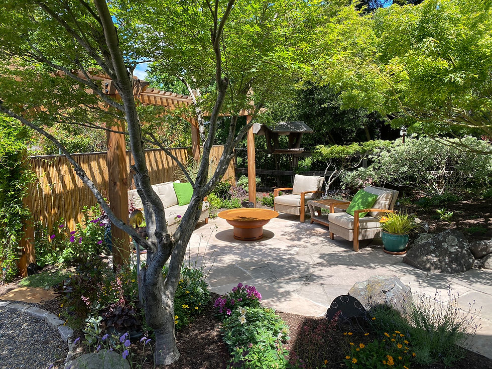 What to Consider When Choosing a Landscape Design Firm in Sonoma County