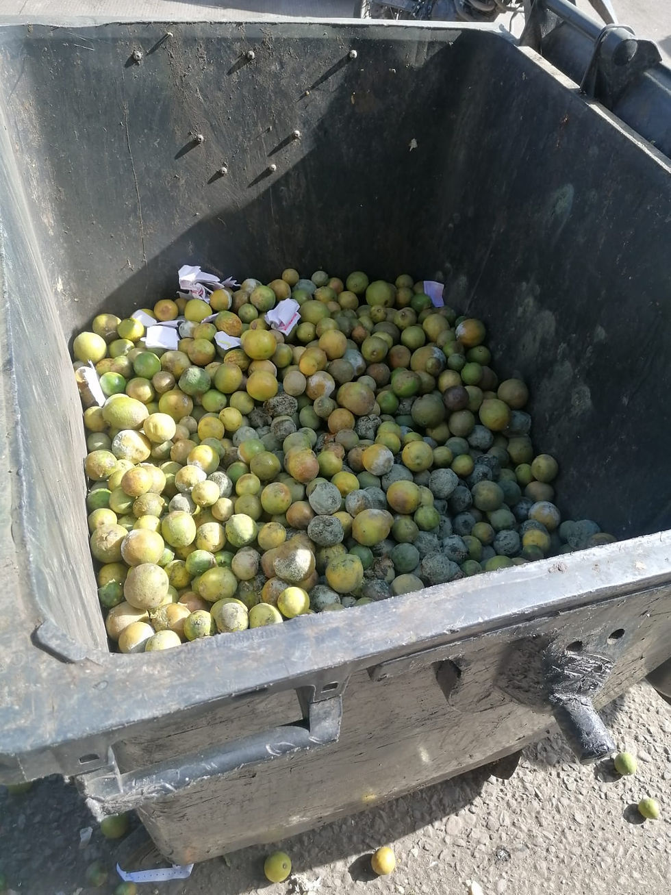 naranjas