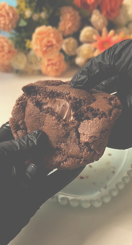 Captura de tela 2025-11-22 213736_edited.png