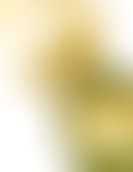 Did Iron Fist Forget the Most Important Element?