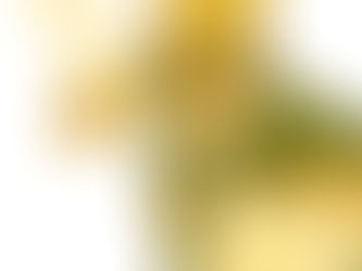 Did Iron Fist Forget the Most Important Element?