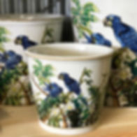 These stunning pots have only just grace