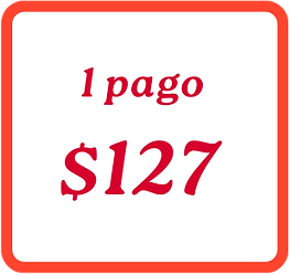 Ivonne Landing Despójate V2 (11) pagos.png