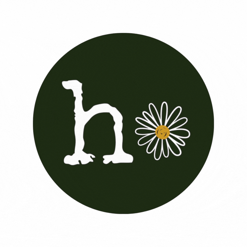 hojando margaritas • marca