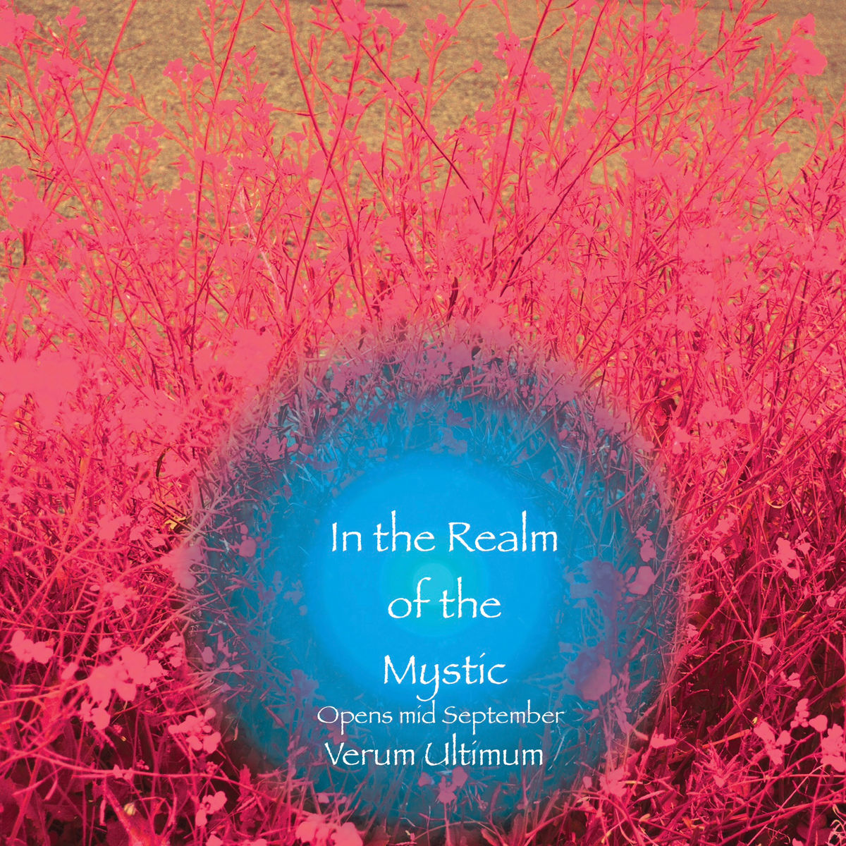 Verum Ultimum Art Gallery