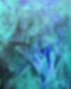 Palm Shadow Waters by Debbie Tracey