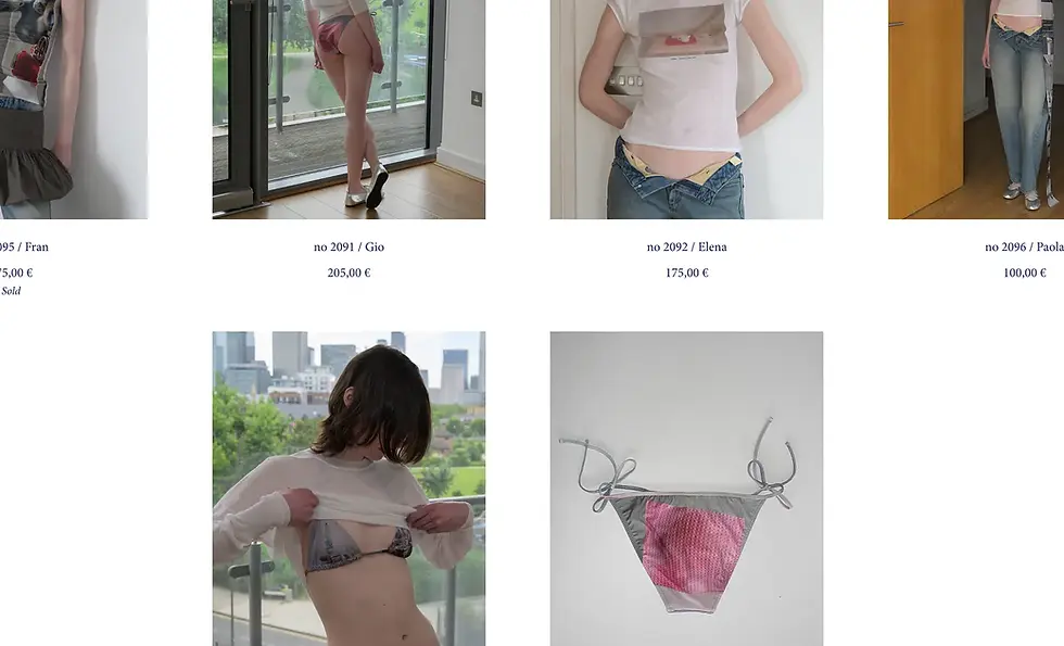 Exciting Collaborations of Summer 2024