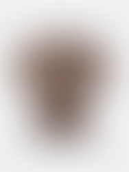 Leopard-print Twist-detail T-shirt