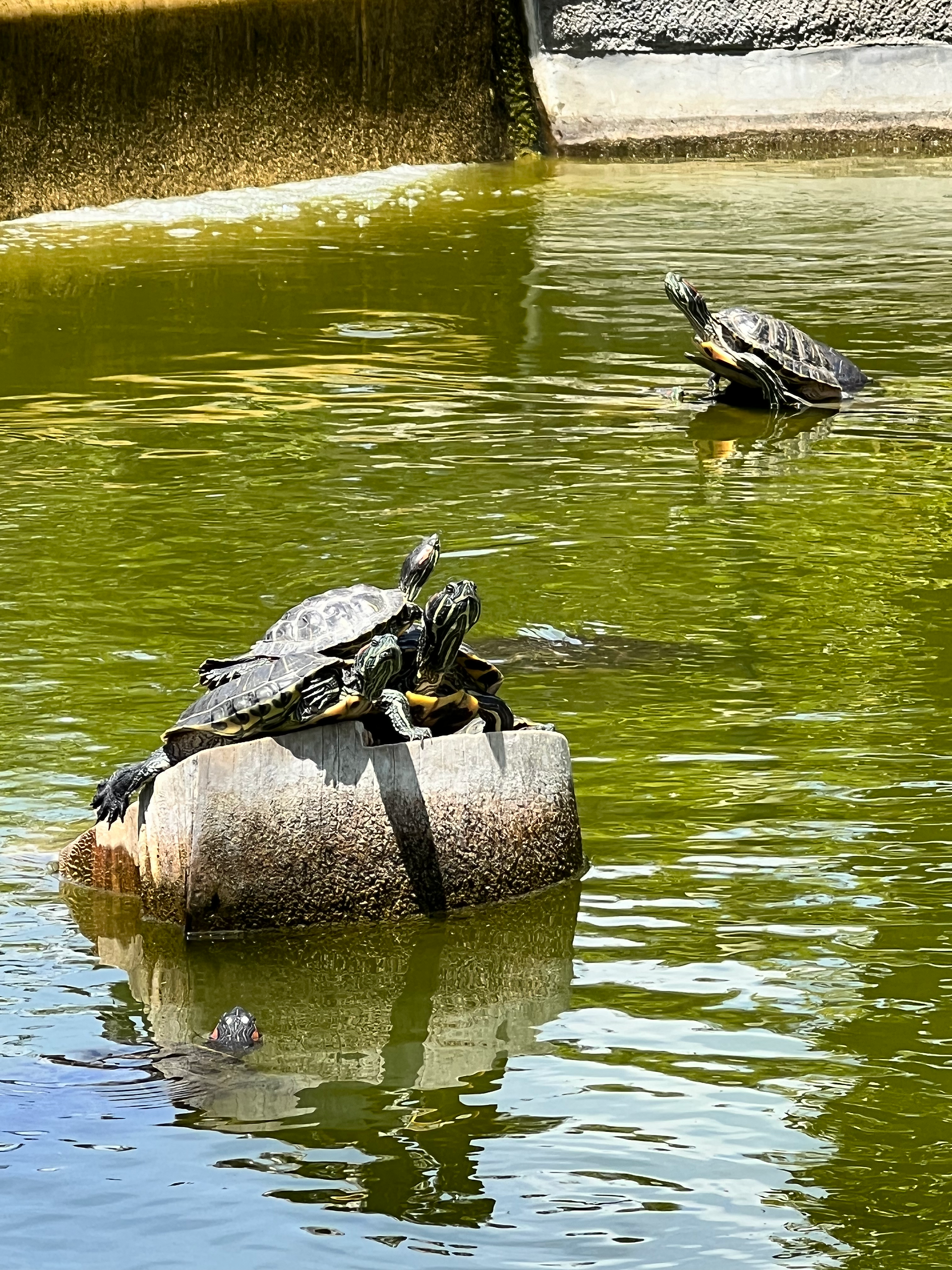 Will Rogers Park