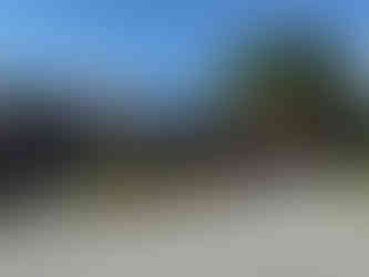 Bear Claw Exterior View