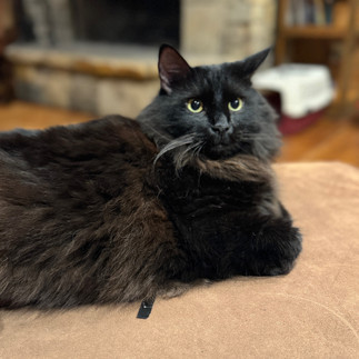 Lil Troubs on Chair with Mom